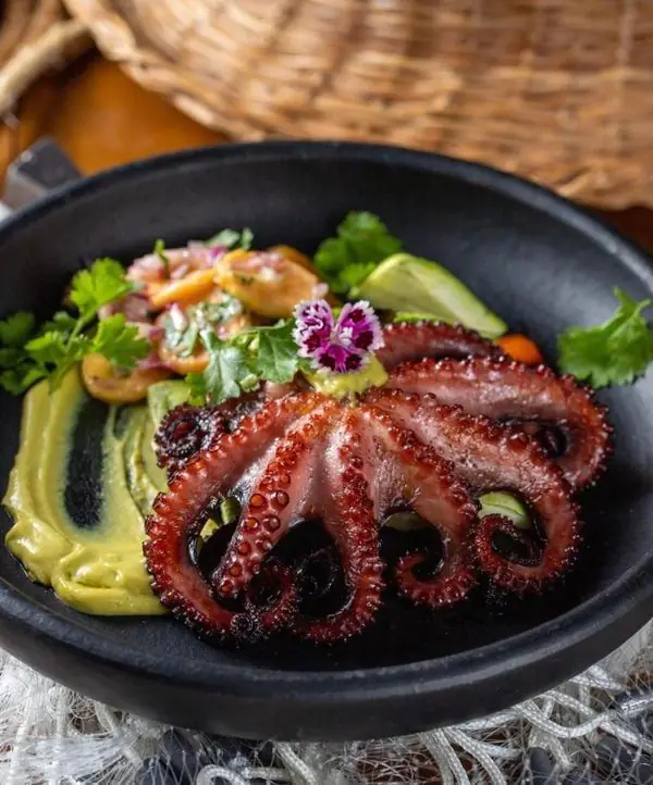 Polvo na brasa com legumes assados e maionese de abacate